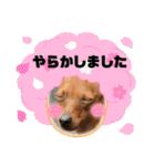 るくびっと（個別スタンプ：30）