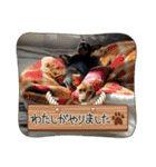 るくびっと（個別スタンプ：31）