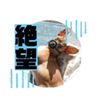 るくびっと（個別スタンプ：35）