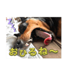 るくびっと（個別スタンプ：38）