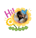 大ちゃんの毎日スタンプ（個別スタンプ：16）