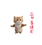 踊る！ダンス猫3（個別スタンプ：10）