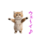 踊る！ダンス猫3（個別スタンプ：13）