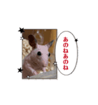 ふぐりのふふふ（個別スタンプ：4）