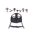 無限ペンギン -Infinite penguin-（個別スタンプ：11）