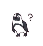 無限ペンギン -Infinite penguin-（個別スタンプ：19）