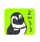 無限ペンギン -Infinite penguin-（個別スタンプ：20）