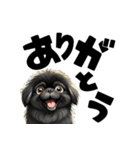 毎日使える可愛い黒ペキニーズのでか文字（個別スタンプ：2）