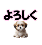 可愛い子犬と♡デカ文字スタンプ（個別スタンプ：6）