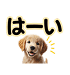 可愛い子犬と♡デカ文字スタンプ（個別スタンプ：8）