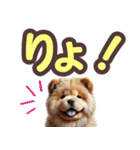 可愛い子犬と♡デカ文字スタンプ（個別スタンプ：11）