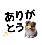 可愛い子犬と♡デカ文字スタンプ（個別スタンプ：12）