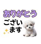 可愛い子犬と♡デカ文字スタンプ（個別スタンプ：13）