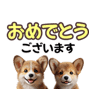 可愛い子犬と♡デカ文字スタンプ（個別スタンプ：15）