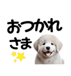 可愛い子犬と♡デカ文字スタンプ（個別スタンプ：16）