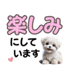 可愛い子犬と♡デカ文字スタンプ（個別スタンプ：19）