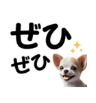 可愛い子犬と♡デカ文字スタンプ（個別スタンプ：26）