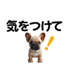 可愛い子犬と♡デカ文字スタンプ（個別スタンプ：28）