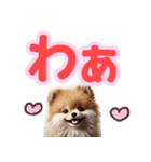 可愛い子犬と♡デカ文字スタンプ（個別スタンプ：30）