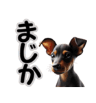 可愛い子犬と♡デカ文字スタンプ（個別スタンプ：37）