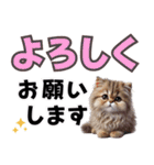 可愛い子猫と♡デカ文字スタンプ（個別スタンプ：4）