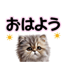 可愛い子猫と♡デカ文字スタンプ（個別スタンプ：6）