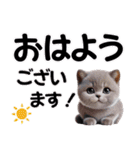 可愛い子猫と♡デカ文字スタンプ（個別スタンプ：7）