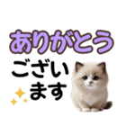 可愛い子猫と♡デカ文字スタンプ（個別スタンプ：14）