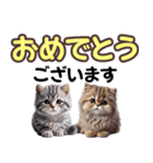 可愛い子猫と♡デカ文字スタンプ（個別スタンプ：16）