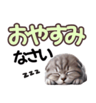 可愛い子猫と♡デカ文字スタンプ（個別スタンプ：18）