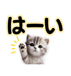 可愛い子猫と♡デカ文字スタンプ（個別スタンプ：19）