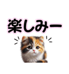 可愛い子猫と♡デカ文字スタンプ（個別スタンプ：20）