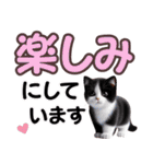 可愛い子猫と♡デカ文字スタンプ（個別スタンプ：21）