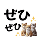 可愛い子猫と♡デカ文字スタンプ（個別スタンプ：23）