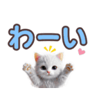 可愛い子猫と♡デカ文字スタンプ（個別スタンプ：24）