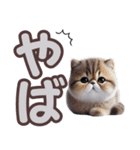 可愛い子猫と♡デカ文字スタンプ（個別スタンプ：25）