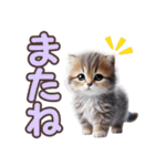 可愛い子猫と♡デカ文字スタンプ（個別スタンプ：27）