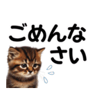 可愛い子猫と♡デカ文字スタンプ（個別スタンプ：28）