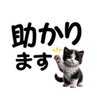 可愛い子猫と♡デカ文字スタンプ（個別スタンプ：31）