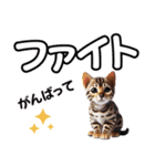 可愛い子猫と♡デカ文字スタンプ（個別スタンプ：33）