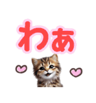 可愛い子猫と♡デカ文字スタンプ（個別スタンプ：35）