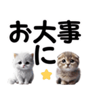 可愛い子猫と♡デカ文字スタンプ（個別スタンプ：39）