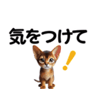 可愛い子猫と♡デカ文字スタンプ（個別スタンプ：40）