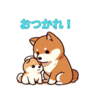 【柴犬】いつでも使える犬スタンプ（個別スタンプ：25）