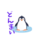 海辺のペンギン2（個別スタンプ：19）