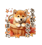 毎日使える柴犬の秋✩.*˚（個別スタンプ：12）