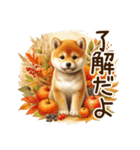 毎日使える柴犬の秋✩.*˚（個別スタンプ：17）