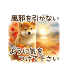 毎日使える柴犬の秋✩.*˚（個別スタンプ：28）