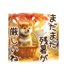 毎日使える柴犬の秋✩.*˚（個別スタンプ：33）