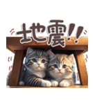 ねこちぃずneo★防災メッセージ（個別スタンプ：13）